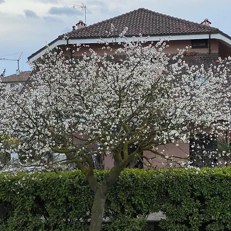 Lägenhet Il Ciliegio Relax & Wellness *