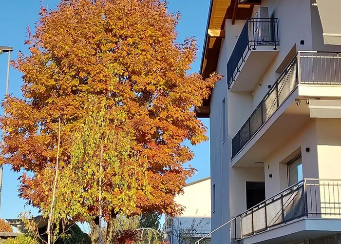 Il Ciliegio Relax&wellness * Druento